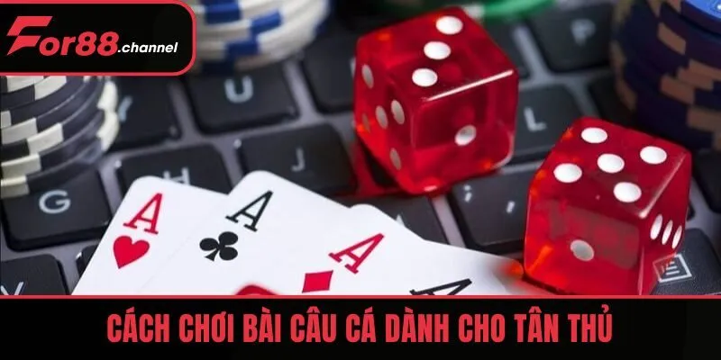 Cách chơi bài Câu Cá dành cho tân thủ
