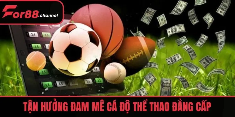 Tận hưởng đam mê cá độ thể thao đẳng cấp